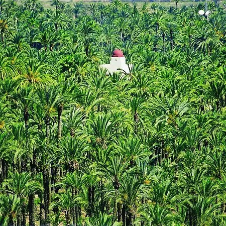 Piso Elche-centro 公寓