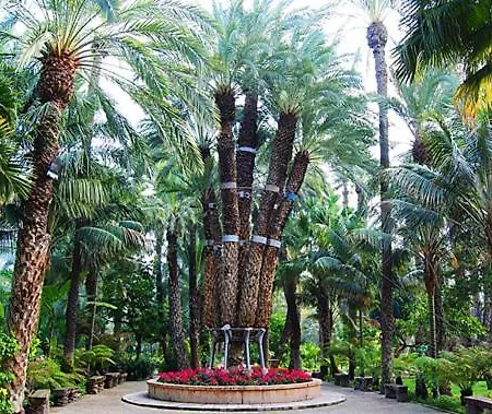 Piso Elche-centro * Elche